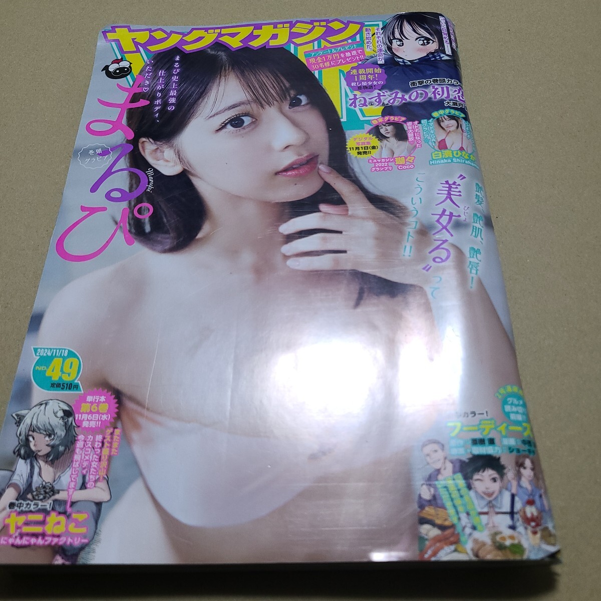 ヤングマガジン ２０２４年１１月１８日号 （講談社） まるぴ 瑚々 白濱ひなか