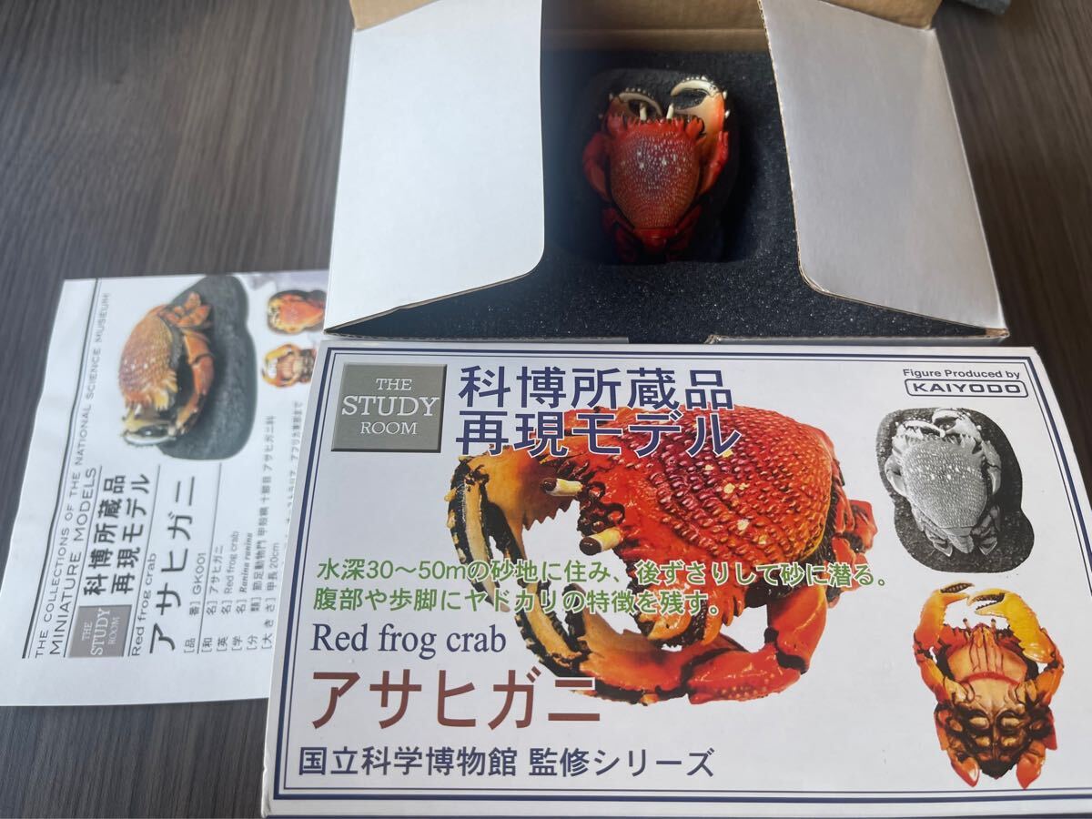 海洋堂　科博所蔵品再現モデル　アサヒガニ