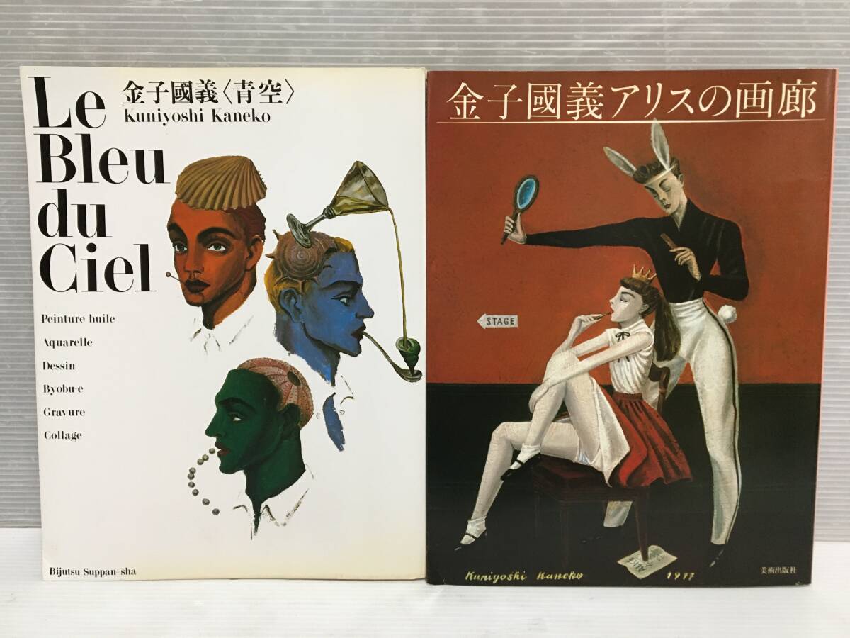 □ D120 □ 中古本 金子國義 2冊まとめ ＜青空＞ Le Bleu du Ciel 篠山紀信 大岡信 / アリスの画廊 1989年