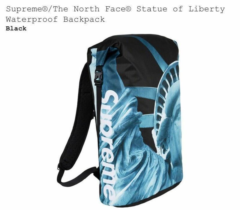 【国内正規】Supreme The North Face Statue of Liberty Waterproof Backpack 黒 シュプリーム ノースフェイス black 自由の女神
