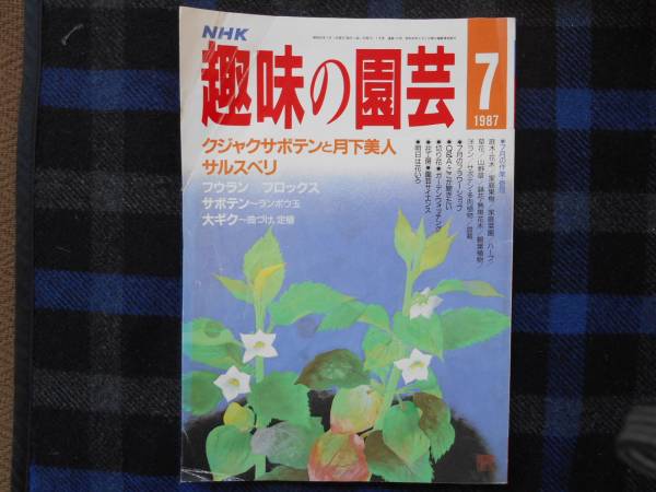 NHK 　趣味の園芸　1987年7月号　タカ51
