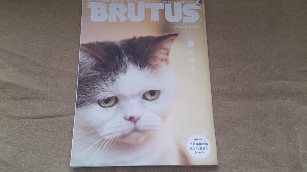 ★ BRUTUS ブルータス 2009年 No.658 猫である まこ実物大シール付　まこ　猫キャラBOOK 2021 送料無料②