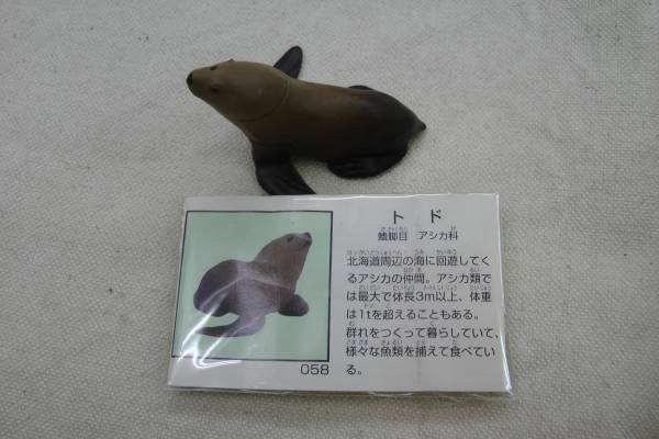チョコエッグ 日本の動物 3弾 058 トド 海洋堂