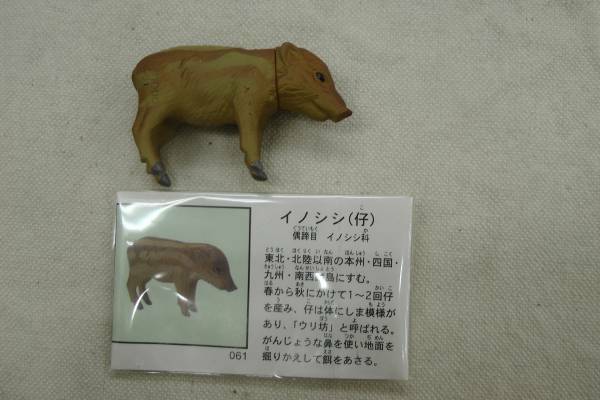 チョコエッグ 日本の動物 3弾 061 イノシシ（仔） 海洋堂