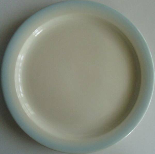 700【食器】プレート 大皿/丸皿 大鉢 盛り皿/28cm ディナー/陶器 PowderBlue グラデーション縁