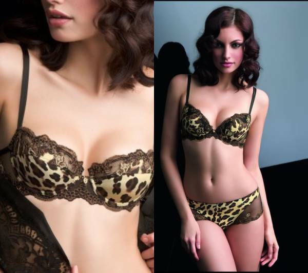 【リズシャルメル LISE CHARMEL】DOUX GUEPARDブラ単品　FR85B