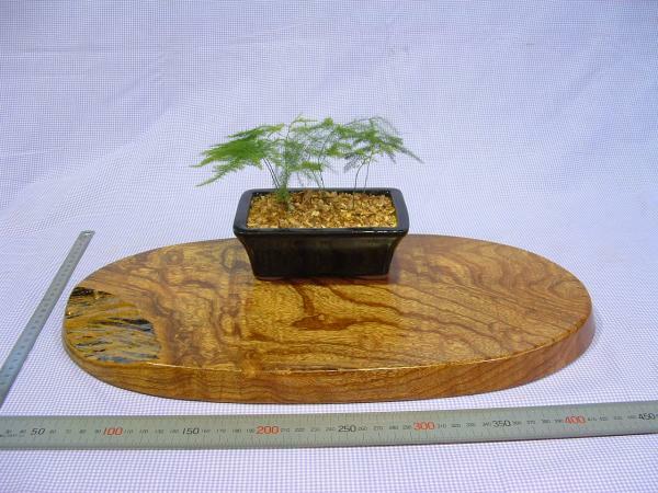 泡杢・玉杢欅（ケヤキ）103　花台　無垢一枚板盆栽台木材鉢