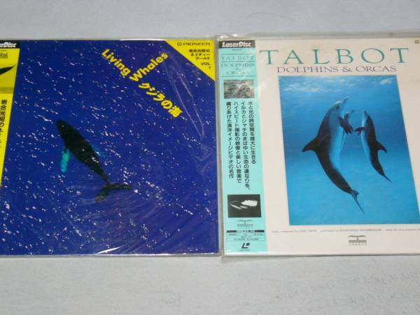 LD TALBOT　　イルカ　　岩合光昭　クジラの海