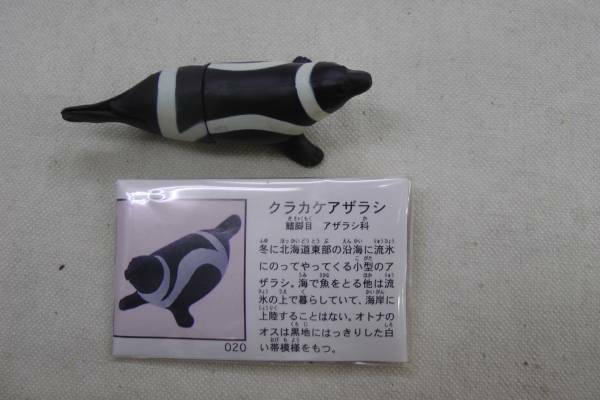 チョコエッグ 日本の動物 1弾 020 クラカケアザラシ 海洋堂