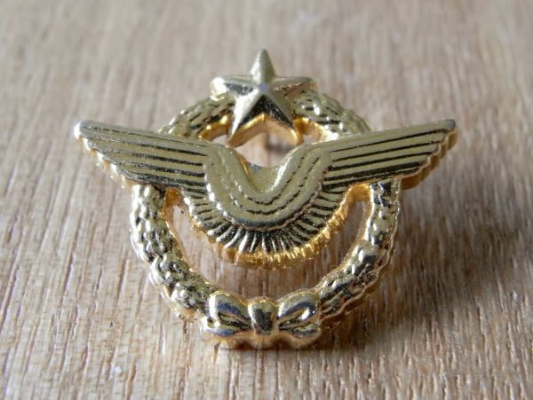 古い ピンバッジ : ミリタリー 空軍 紋章 飛行機 航空 ロゴ #G