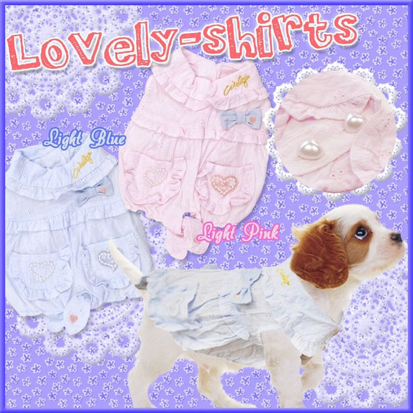 激安即決★Lovelyシャツワンピ MD-M ライトブルー★新品 ～5kg位