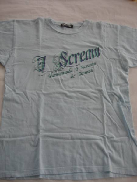 armed Tシャツ　パウエル　ステューシー ビッグT