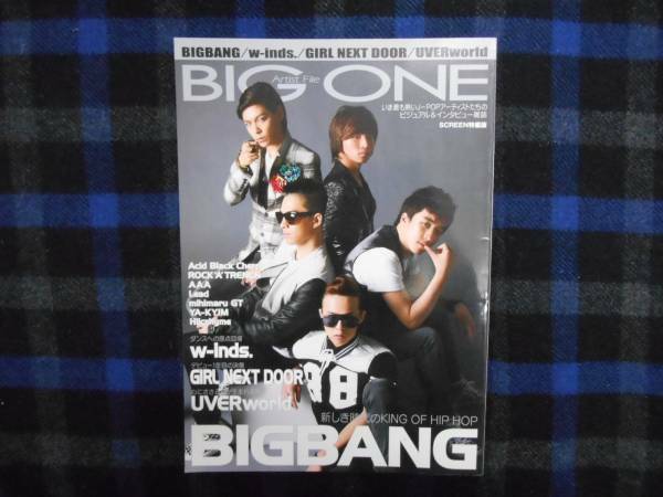 ・Artist File BIG ONE 　2009　BIGBANG　絵上