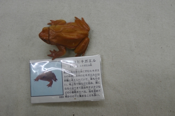 チョコエッグ 日本の動物 3弾 089 ミヤコヒキガエル 海洋堂