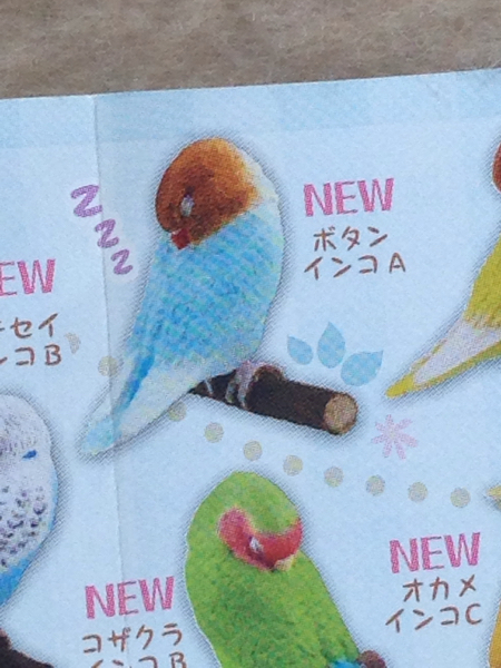 手のりインココレクション スヤスヤおやすみ編 ボタンインコA