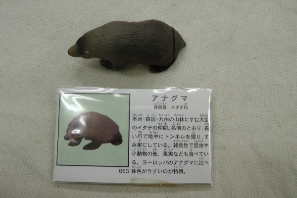チョコエッグ 日本の動物 3弾 063 アナグマ 海洋堂