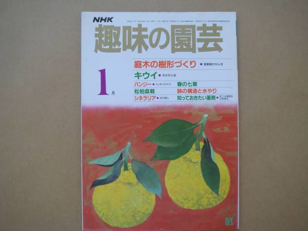 ★　美本　 趣味の園芸　 昭和 61年 1月号　タカ51