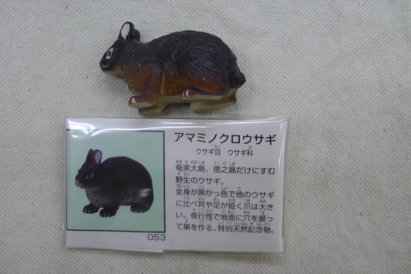 チョコエッグ 日本の動物 3弾 053 アマミノクロウサギ 海洋堂