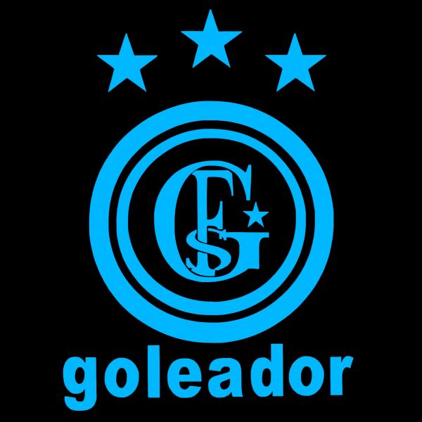 【goleador】ゴレアドール 25cmサッカーステッカーB6